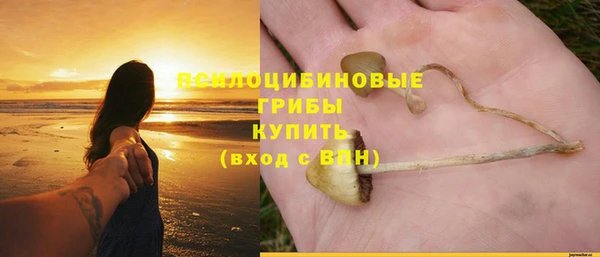 apvp Дмитров