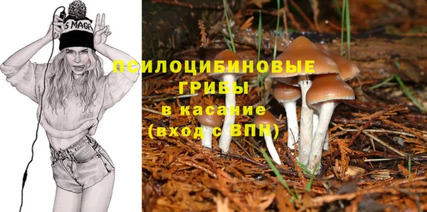 ГАЛЛЮЦИНОГЕННЫЕ ГРИБЫ Гусиноозёрск