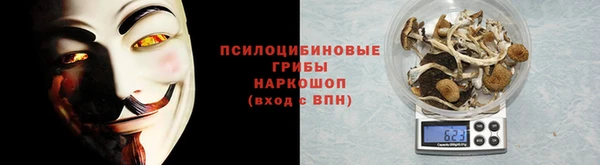 дживик Гусев