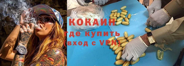 сатива Ахтубинск