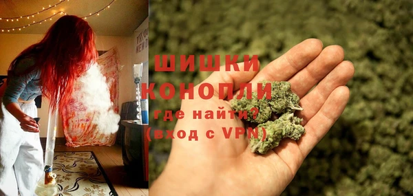 дживик Гусев